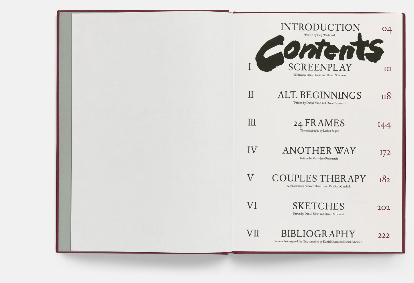 Everything Everywhere All At Once Screenplay Book