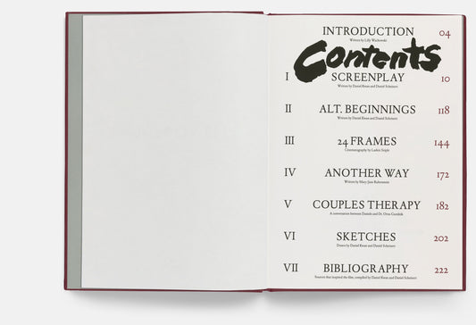 Scénario de Everything Everywhere All At Once