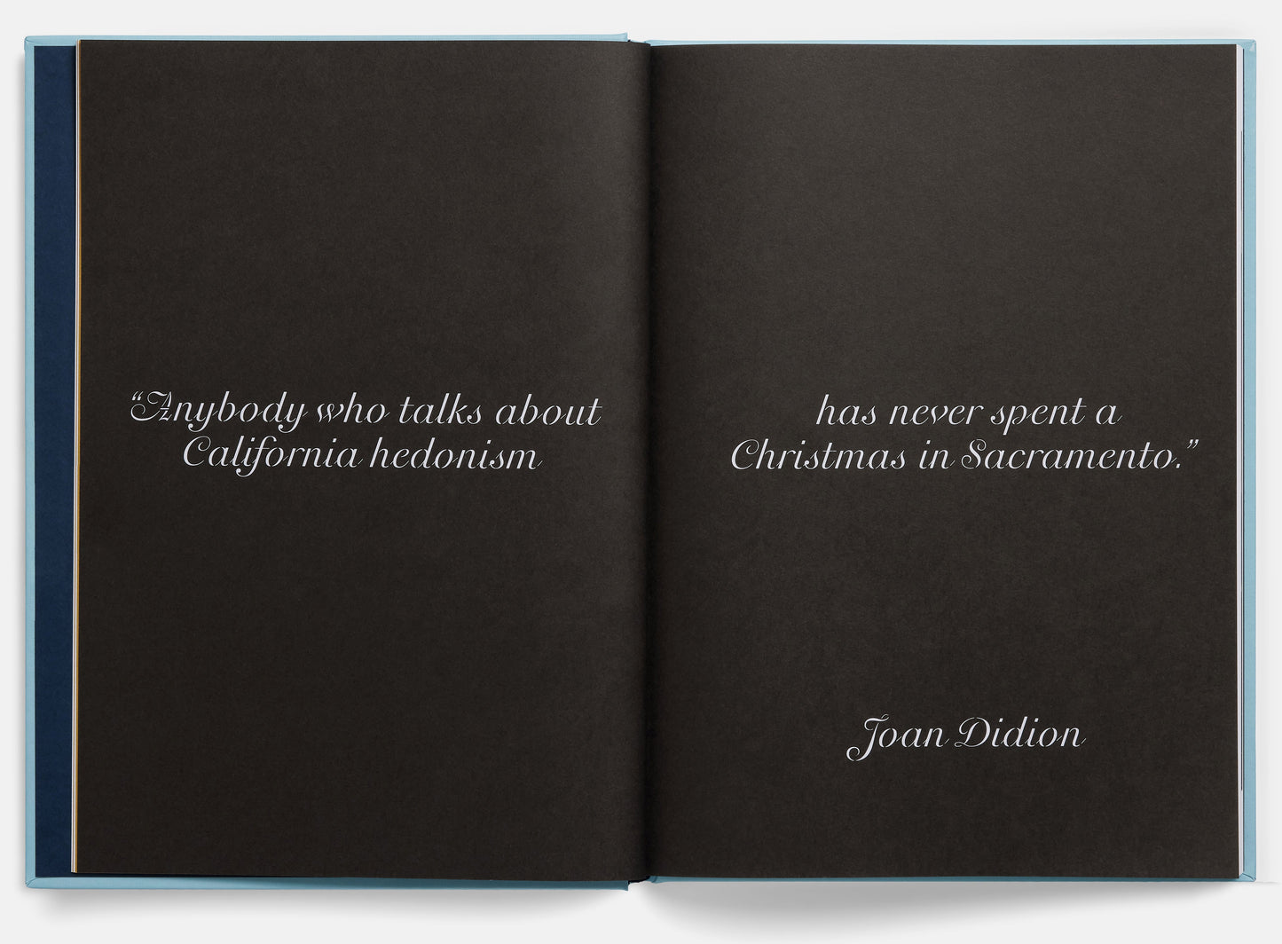 Lady Bird Screenplay Book