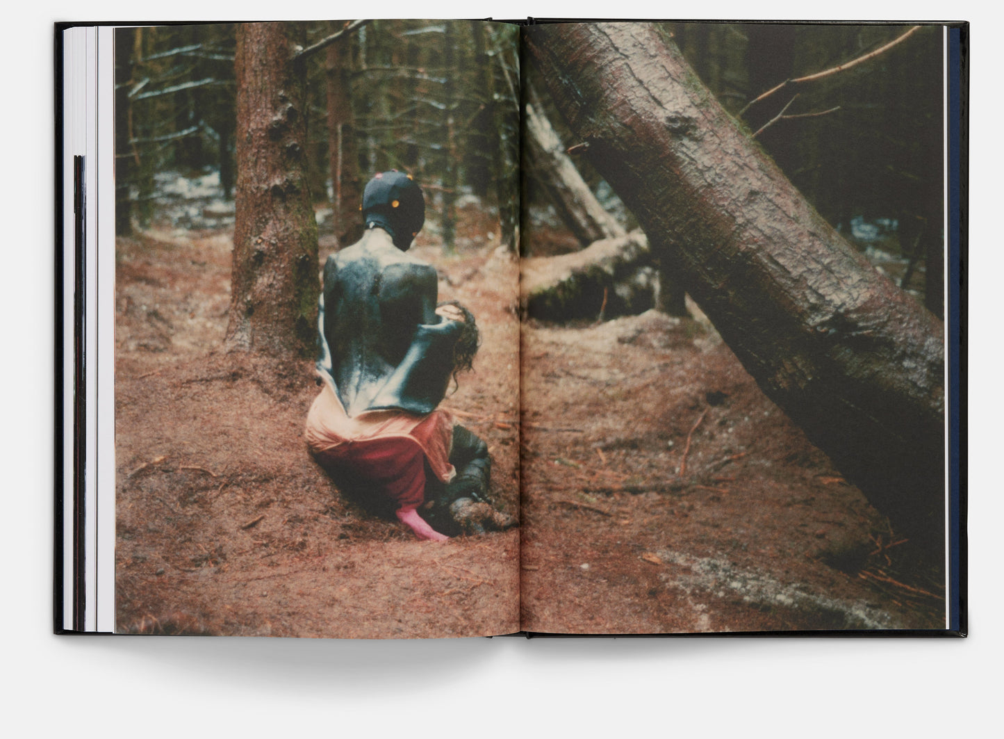 Under The Skin Screenplay Book